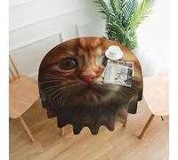 QMKFWT - Orange Cat Print Round Tablecloth, Dust Resistant Wrinkle Resistant Washable Polyester Table Cover for Kitchen Dining, Farmhouse, Picnic, Indoor and Outdoor (Round: