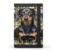 QMKFWT Pad Dachshund Casual Wallet Credit Card Holder Premium Document Organizer Case for Men And Women