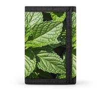 QMKFWT Peppermint Casual Wallet Credit Card Holder Premium Document Organizer Case for Men And Women