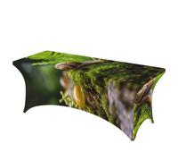 QMKFWT Snail Crawling Decorative Tablecloth Protector for Wedding, Banquet & Parties6FT Spandex Rectangle Tablecloths, Stretch Washable Table Cloth Wrinkle Free Patio Table Cover