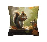 QMKFWT Squirrel Eats Nuts Print Throw Pillow Covers Decorative Pillow Cover Square Cushion Cases Soft Cushion Cover Throw Sofa Pillow Case for Home Decor Living Room Bed Couch Car 12"x12"