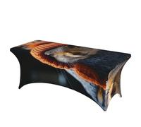 QMKFWT Squirrel Wearing Hat Decorative Tablecloth Protector for Wedding, Banquet & Parties6FT Spandex Rectangle Tablecloths, Stretch Washable Table Cloth Wrinkle Free Patio Table Cover