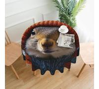 QMKFWT Squirrel Wearing Hat Printed Round Tablecloth,Dust-Proof Wrinkle Resistant Table Cover Washable Polyester Table Cloth for Kitchen Dining Room Farmhouse Picnic Indoor Outdoor(Round 60 Inch)
