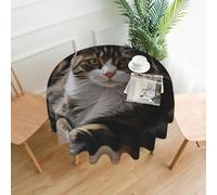 QMKFWT Tabby Cat Printed Round Tablecloth,Dust-Proof Wrinkle Resistant Table Cover Washable Polyester Table Cloth for Kitchen Dining Room Farmhouse Picnic Indoor Outdoor(Round 60 Inch)