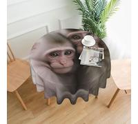 QMKFWT Two Macaques Hugging Printed Round Tablecloth,Dust-Proof Wrinkle Resistant Table Cover Washable Polyester Table Cloth for Kitchen Dining Room Farmhouse Picnic Indoor Outdoor(Round 60 Inch)