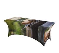 QMKFWT Two Snails on the Bench Decorative Tablecloth Protector for Wedding, Banquet & Parties6FT Spandex Rectangle Tablecloths, Stretch Washable Table Cloth Wrinkle Free Patio Table Cover