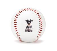 QMKFWT Well-Behaved Schnauzer Baseball Standard Practice Baseball Flat Raised Seam Options Official League Baseballs for League Play Pitching Hitting Batting Fielding Gifts