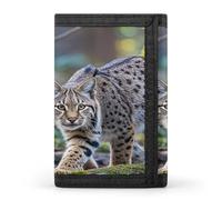 QMKFWT Wild Bobcat Casual Wallet Credit Card Holder Premium Document Organizer Case for Men And Women