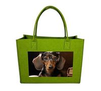 QMNALP Large Felt Tote Bag,cute Grocery Handbag Organizer for Work,Gym Dachshund Book Printed Lunch Bag, Light Green-dachshund Book, One Size