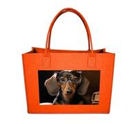 QMNALP Large Felt Tote Bag,cute Grocery Handbag Organizer for Work,Gym Dachshund Book Printed Lunch Bag, Fruit Orange-dachshund Book, One Size