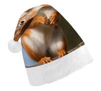 QMNALP Personalized Christmas Hat 17.1 * 11.7in Soft Cute Squirrel Funny Animal Printed Santa Hat for New Year Party Supplies & Gifts