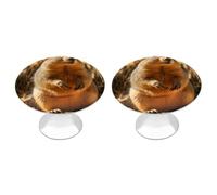 QMNBTES 2 PCS Kitchen Hand Drawn Groundhog Cabinet Knobs, Stainless Steel Furniture Knob Pulls Handles Decorative, Vintage Knobs for Dresser/Drawers/Bathroom/Closet Door/Bifold Door/Cupboard