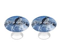 QMNBTES 2 PCS Kitchen Snow Mountain Penguin Cabinet Knobs, Stainless Steel Furniture Knob Pulls Handles Decorative, Vintage Knobs for Dresser/Drawers/Bathroom/Closet Door/Bifold Door/Cupboard
