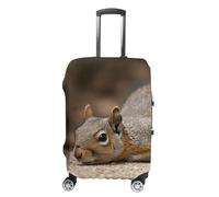 QMNBTES Carry on Luggage Cover Squirrel Just Laying Suitcase Covers for Luggages Tsa Approved Travel Luggage Sleeve Protector Elastic Suitcase Protector Anti-Scratch Washable Fits 19-30 Inch Case