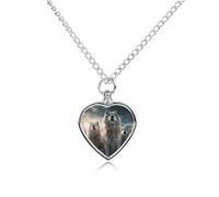 QMNBTES Custom Wolf Tribe Cremation Necklace for Ashes Pet Urn Necklace 27.6" Adjustable Chain Memorial Dog Cat Jewelry Keepsake with Filling Kit Sympathy Gift for Grieving Pet Owners