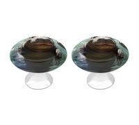 QMNBTES Cute Hippos 2 Pack Vintage Cabinet Knob Cute Kitchen Cabinet Knobs Stainless Steel Decorative Furniture Knob Pulls Handles Knobs for Dresser Drawers Bathroom Closet Door Bifold Door
