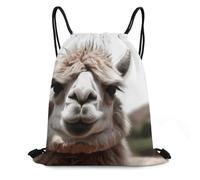 QMNBTES Funny Alpaca Llama Drawstring Backpack Foldable Gym Sackpack for Basketball Soccer Swim Yoga Sport Gear Beach