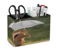 QMNBTES Rectangle Squirrel Hold A Umbrellas Pen Holder Desktop Organizer