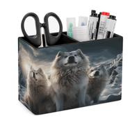 QMNBTES Rectangle Wolf Tribe Pen Holder Desktop Organizer