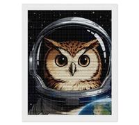 QMNBTES Space Astronaut Owl 5D Diamond Painting Kits for Adults Beginners DIY Diamond Art Kit Large Gem Painting Full Round Drill Diamonds Dots Gem Art Crafts for Home Wall Decor Gifts 16x20