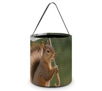 QMNBTES Squirrel Hold A Umbrellas Halloween Tote Treat Bags Reusable Goodie Candy Bags with Handle Large Snack Baggies Tote Bucket for Gifts Wrapping Holiday Party Favor Supplies