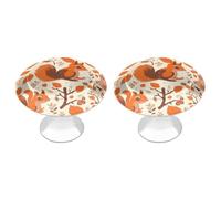 QMNLKH Autumn Squirrel Cabinet Knobs for Home, Round Drawer Pulls for Kitchen, Personalized Cupboard Handles with Screw, Fashion Dresser Knobs for Office, Drawer Handles, 2 Packs