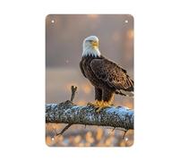 QMNLKH Golden Sunset Bald Eagle Plaques for Wall Decor, Personalized Metal Tin Sign for Home, Multifunctional Poster for Office, Fashion Painting for Hallway, Wall Art Pictures, 7.9x11.8Inch