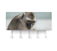 QMNLKH Monkey on The Ground Wall Mounted Key Rack for Home, No Drilling Key Holder with 5 Hooks, Self Adhesive Keys Chain Organizer for Hallway, Keys Hanger Shelf for Office, Doorway White