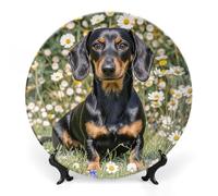 QMNLKH Pad Dachshund Bone China Decorative Plate for Home Decor, Round Ceramic Decorative Dish with Stand Hook, Wall Hanging Ornament Plates for Office, Porcelain Plates 6inch