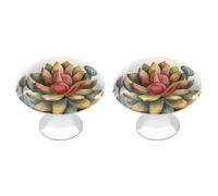 QMNLKH Watercolor Succulent Plant Cabinet Knobs for Home, Round Drawer Pulls for Kitchen, Personalized Cupboard Handles with Screw, Fashion Dresser Knobs for Office, Drawer Handles, 2 Packs