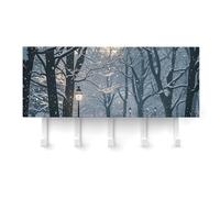 QMNLKH Winter Snow Falling in The Park Wall Mounted Key Rack for Home, No Drilling Key Holder with 5 Hooks, Self Adhesive Keys Chain Organizer for Hallway, Keys Hanger Shelf for Office, Doorway White