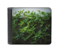 QMNRTK Green Plant Leather Wallet Bifold Wallet for Men Women Rfid Blocking Bifold, Extra Capacity Ultra Strong Stitching Slim Billfold with 8 Card Slots, style, One Size