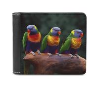 QMNRTK Rainbow Parrots Leather Wallet Bifold Wallet for Men Women Rfid Blocking Bifold, Extra Capacity Ultra Strong Stitching Slim Billfold with 8 Card Slots, style, One Size