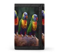 QMNRTK Rainbow Parrots Triple Fold Wallet,Slim Wallet Personalized Engraved Rfid Blocking Wallet for Men And Women, style, One Size