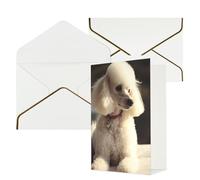 QMNSEHF Blank Greeting Card with Envelopes Thank YouCard French poodle Happy Birthday Card for Women Men Christmas Halloween Wedding Blank Note Cards All Occasion Greeting Cards 4x6