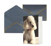 QMNSEHF Blank Greeting Card with Envelopes Thank YouCard French poodle Happy Birthday Card for Women Men Christmas Halloween Wedding Blank Note Cards All Occasion Greeting Cards 4x6