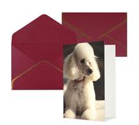 QMNSEHF Blank Greeting Card with Envelopes Thank YouCard French poodle Happy Birthday Card for Women Men Christmas Halloween Wedding Blank Note Cards All Occasion Greeting Cards 4x6