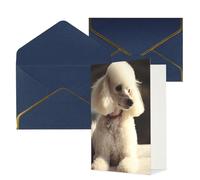 QMNSEHF Blank Greeting Card with Envelopes Thank YouCard French poodle Happy Birthday Card for Women Men Christmas Halloween Wedding Blank Note Cards All Occasion Greeting Cards 4x6