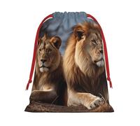 QMNSEHF Christmas Gift Bags Drawstring Santa Bag Soft Plush Goodie Bags with Gift Tags Xmas Treat Bag Two lions Wrapping Sacks for Christmas Presents Party Favor Wrap Storage Pouch Medium
