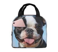 QMNSEHF Insulated Lunch Bag Lovely Boston Terrier Lunch Box for women Men Reusable Leakproof Lunch Cooler Bag for Picnic Work