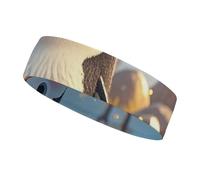 QMNVBDS Cartoon Cute Penguin Headband for Women Men Non Slip Head Band Elastic Sport Head Bands for Running Hiking Sweat Headband for Athletic Yoga Running Gym