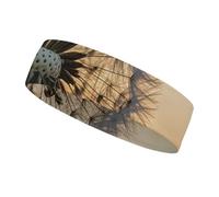 QMNVBDS Dandelions at Sunset Headband for Women Men Non Slip Head Band Elastic Sport Head Bands for Running Hiking Sweat Headband for Athletic Yoga Running Gym