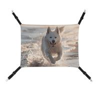 QMNVBDS Running on The Beach Cat Hammock Ferret Hammock Guinea Pig Hammock Rat Hammock Hanging Cat Bed Chinchilla Hammock Hamster Hammock Cat Hammock for Cage Cat Supplies Pet Hammock