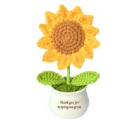 QMVMV Teacher Gifts for Women Men, Handmade Positive Sunflower Crochet Pot Present - Thank You Teacher Gifts from Student, Birthday End of Year Retirement Christmas Appreciation Present for Teacher