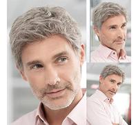 Qnbiar Men's Short Grey Wig Natural Layered Costumes Synthetic Heat Resistant Hair Alternative Wig for Men
