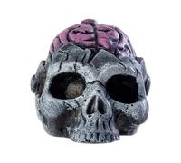 qokeeu Death Whistle, Halloween Scary Whistle with Brain Design, Photo Prop with Scary Brain Look, Joke Item for Teenagers, Outdoor Night Activities and Haunted House