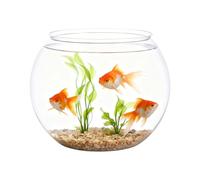 qokeeu Mini Fish Bowl, Shatterproof Aquarium Container, Clear Bubble-Shaped Plant Pot and Fish Container, for Table Decoration at Parties as well as for Home and the