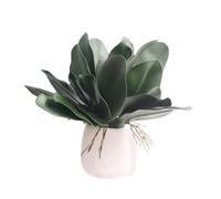 QOKLIYUI Pack of 2 Artificial Leaf Phalaenopsis Green Plants Fake Plant Orchid Leaves