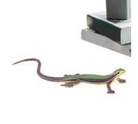 Qooplu Lizard Toys For Kids - Artificial Model Reptile Lizard Animal Figures,Reptile Animal Figures For Halloween And April Fool's Day Pranks