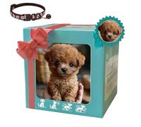 Qosneoun Nicco-My Realistic Robot Puppy, 2025 New Ai Robot Dog, Nicco Robots Dog, Acts Like a Real Dogs, Interactive Plush Robots Dogs for Adults,Walking, Barking, Tail Wagging (F)